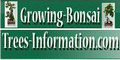 Growing Bonsai Trees Information Logo